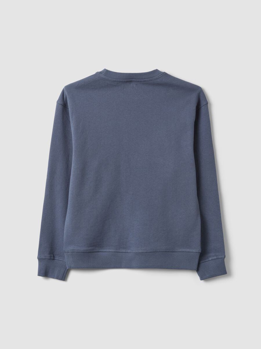 Grey pure cotton sweatshirt with front print for boys, relaxed fit_1