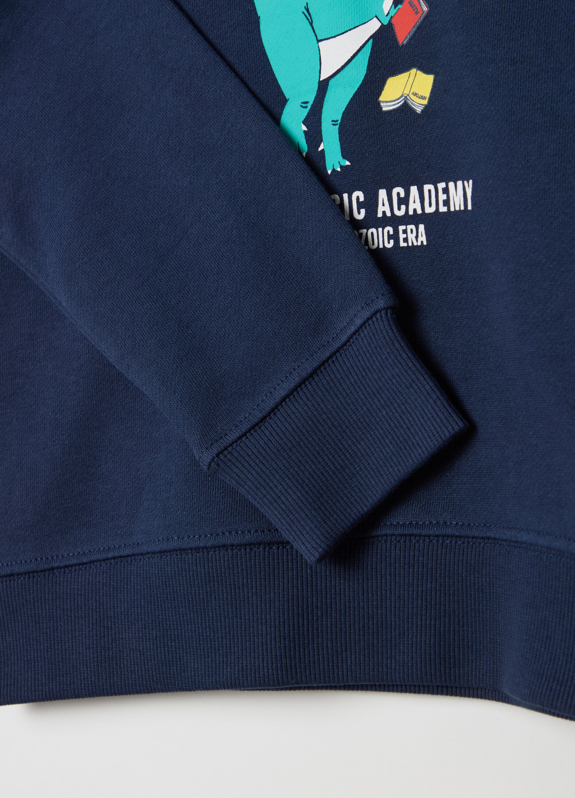 Fleece jogging set with "Jurassic Academy" print