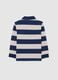 Boys' Multicolour Stripe Polo Shirt in Pure Cotton Regular Fit_1