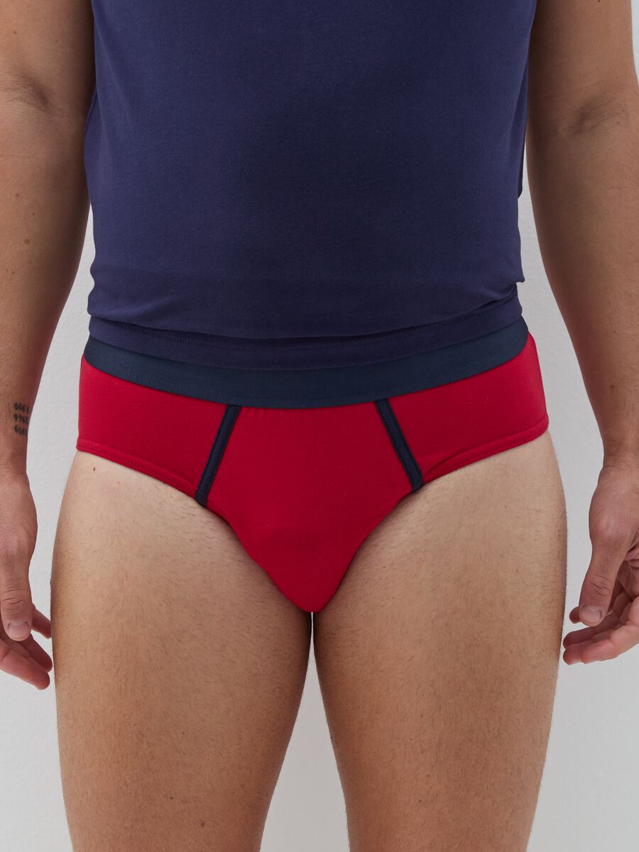 Two-pack briefs in organic cotton with tartan pattern_1
