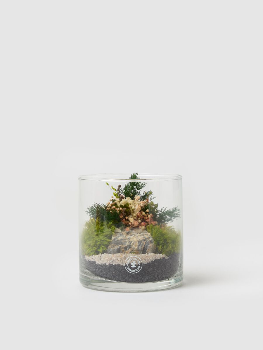 Evergreen Terrarium_0