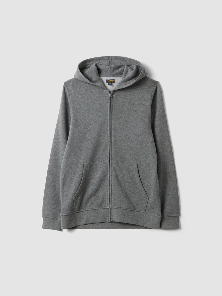 Grey hoodie in pure organic cotton, regular fit_0