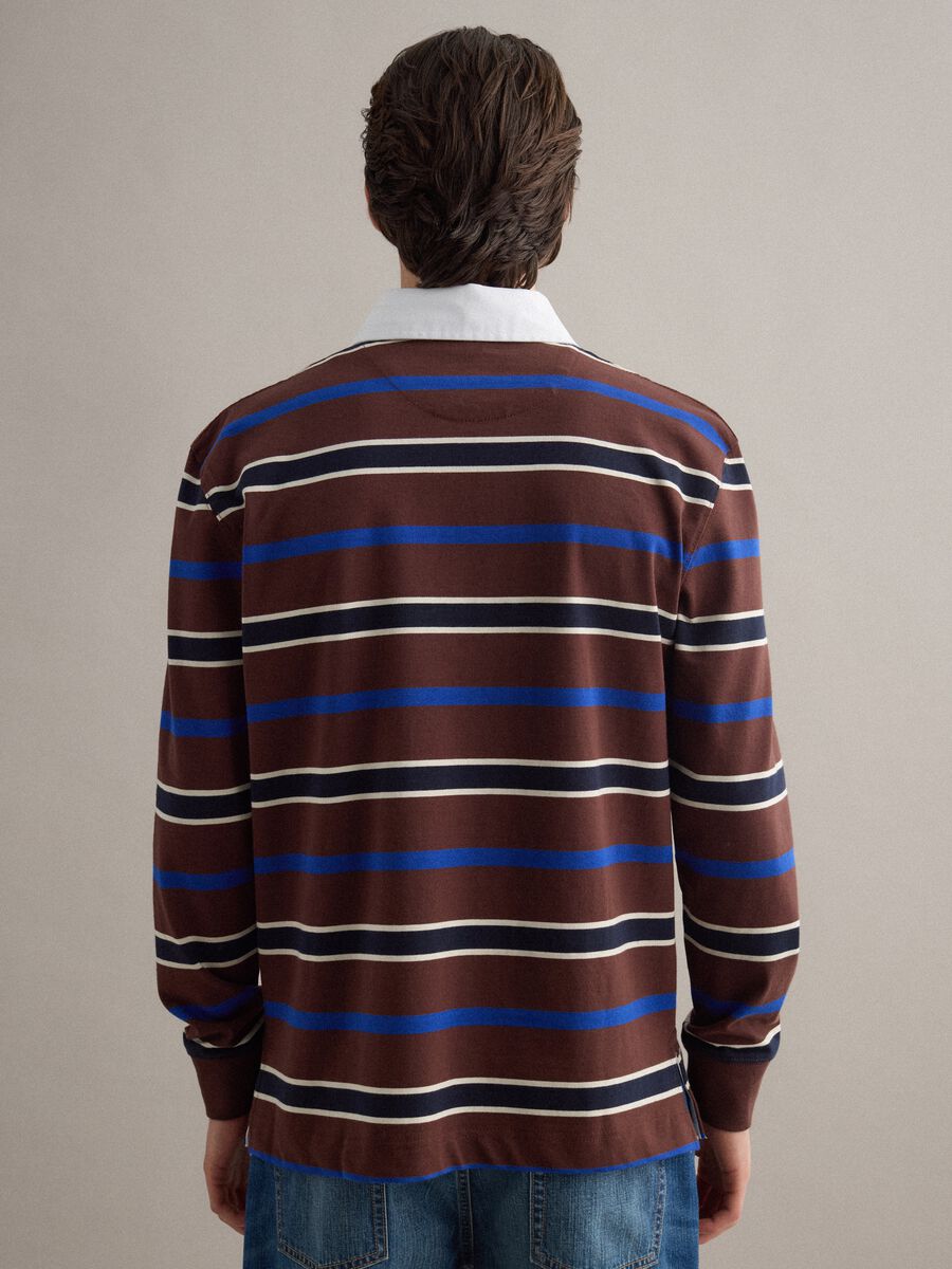 Polo a maniche lunghe in puro cotone a righe multicolor regular fit_3