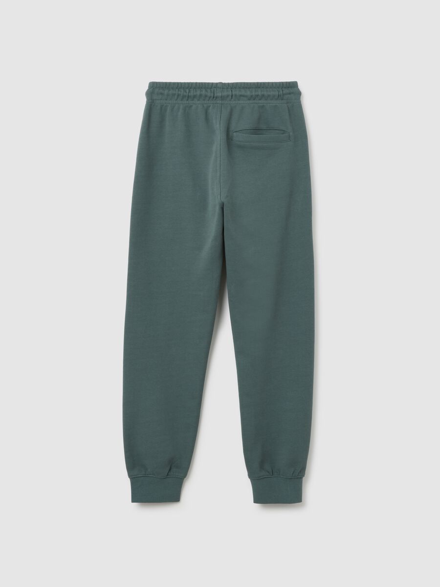 Boys' green regular fit cotton jogger trousers_1