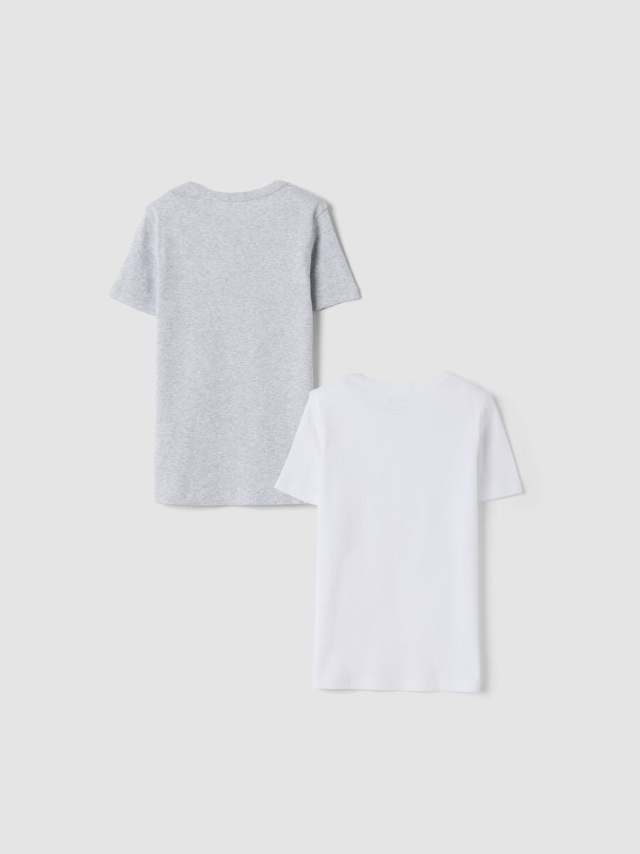 2-pack white and grey crew-neck T-shirts in pure organic cotton_1