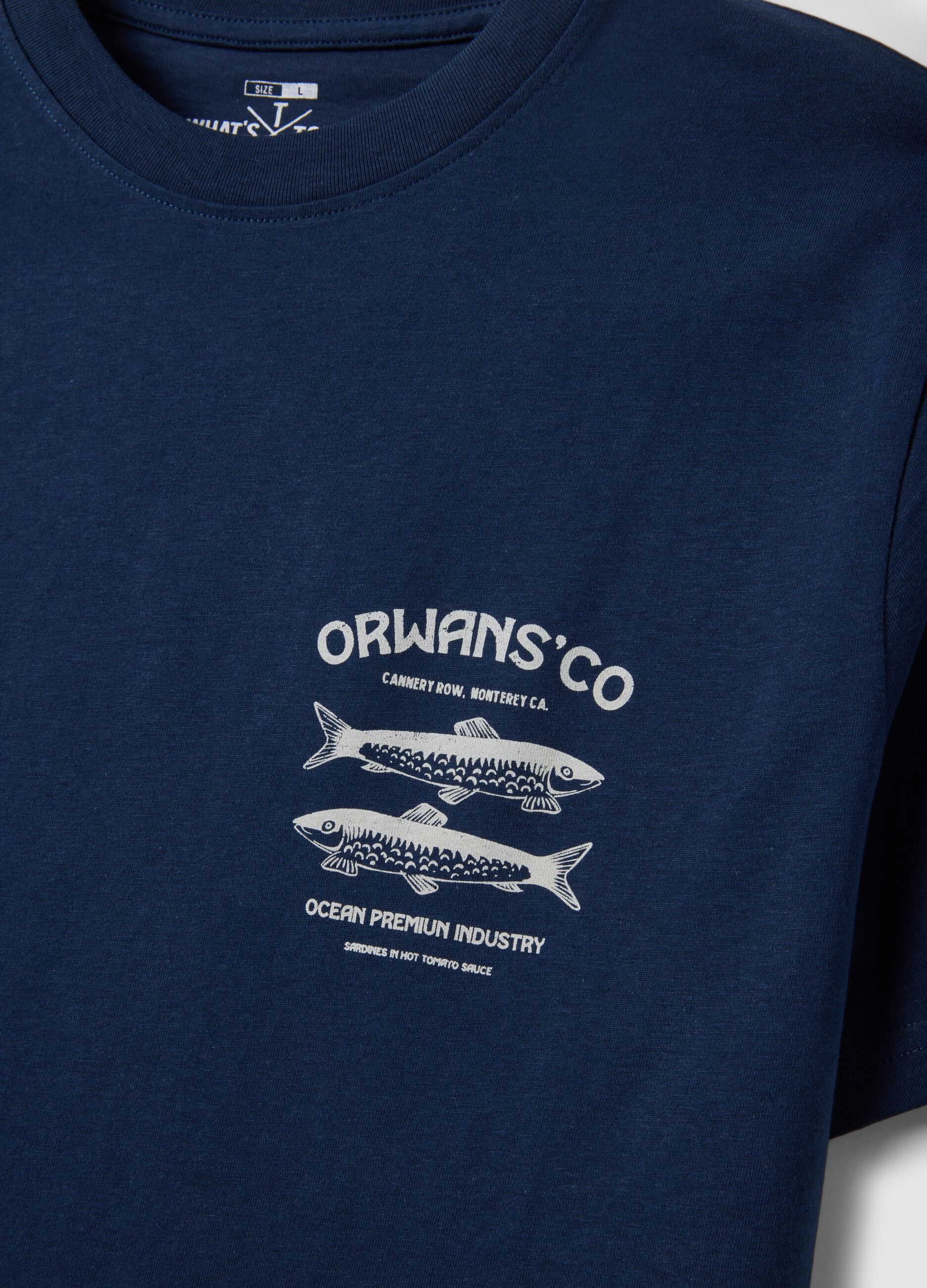 Blue short-sleeved T-shirt in 100% cotton