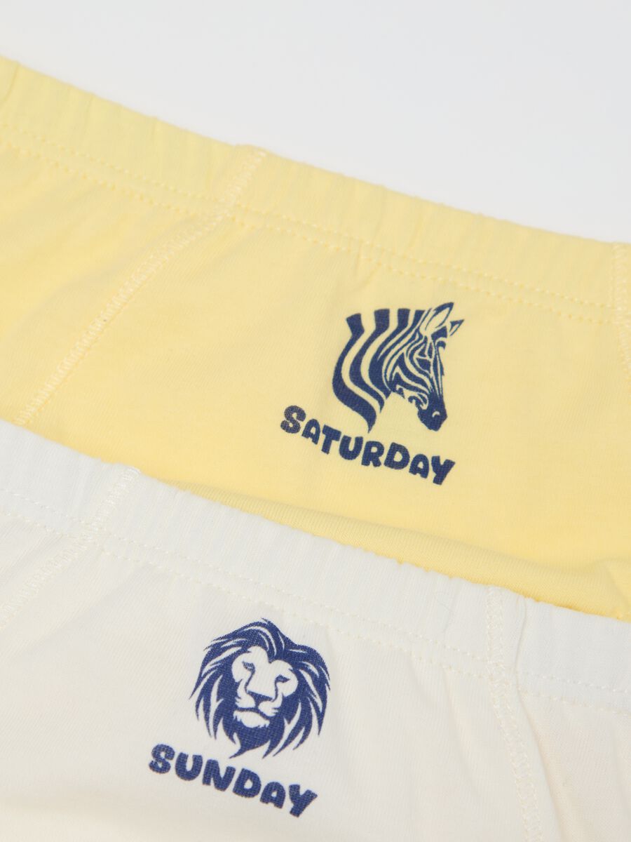 Set of Coloured Cotton Briefs for Boys_3