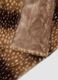 Brown blanket with leopard print_1