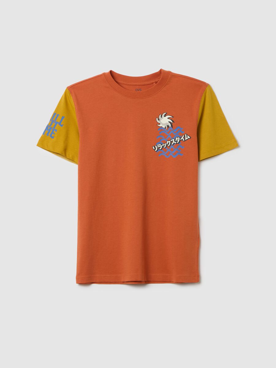 Boy's multicolour pure cotton regular fit T-shirt_3