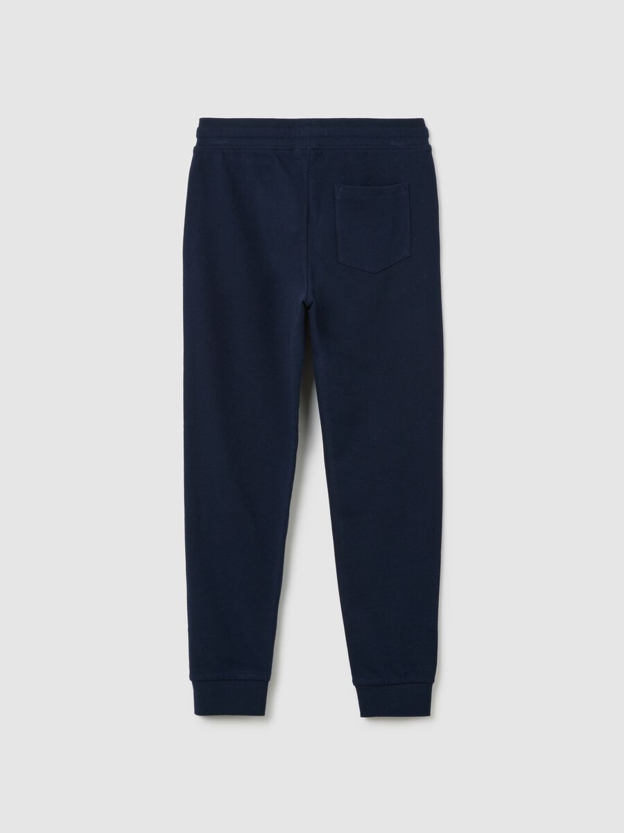 Boys' Blue Regular Fit Cotton Jogger Trousers_4