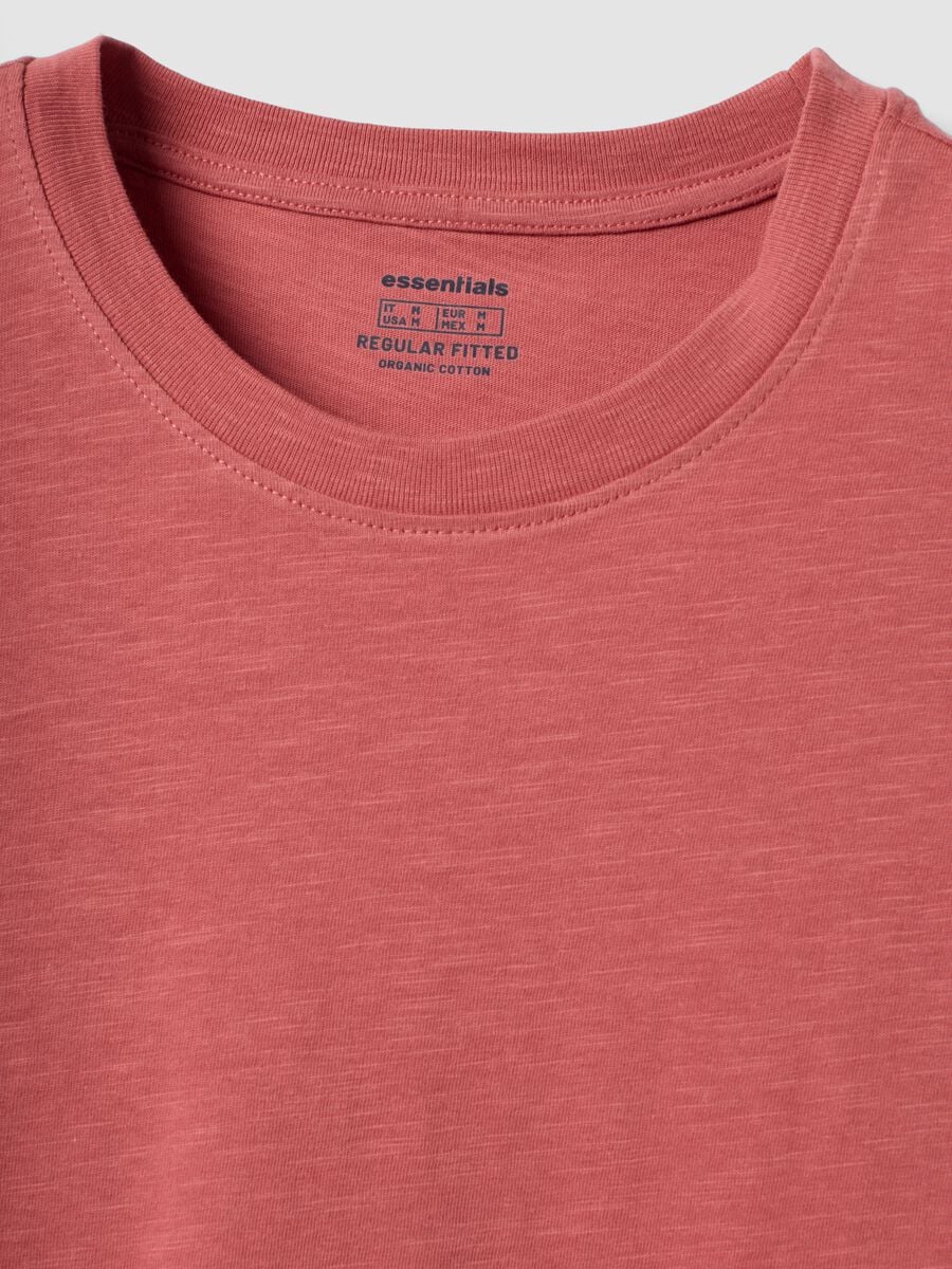 T-shirt rosa in puro cotone a maniche corte regular fit_5