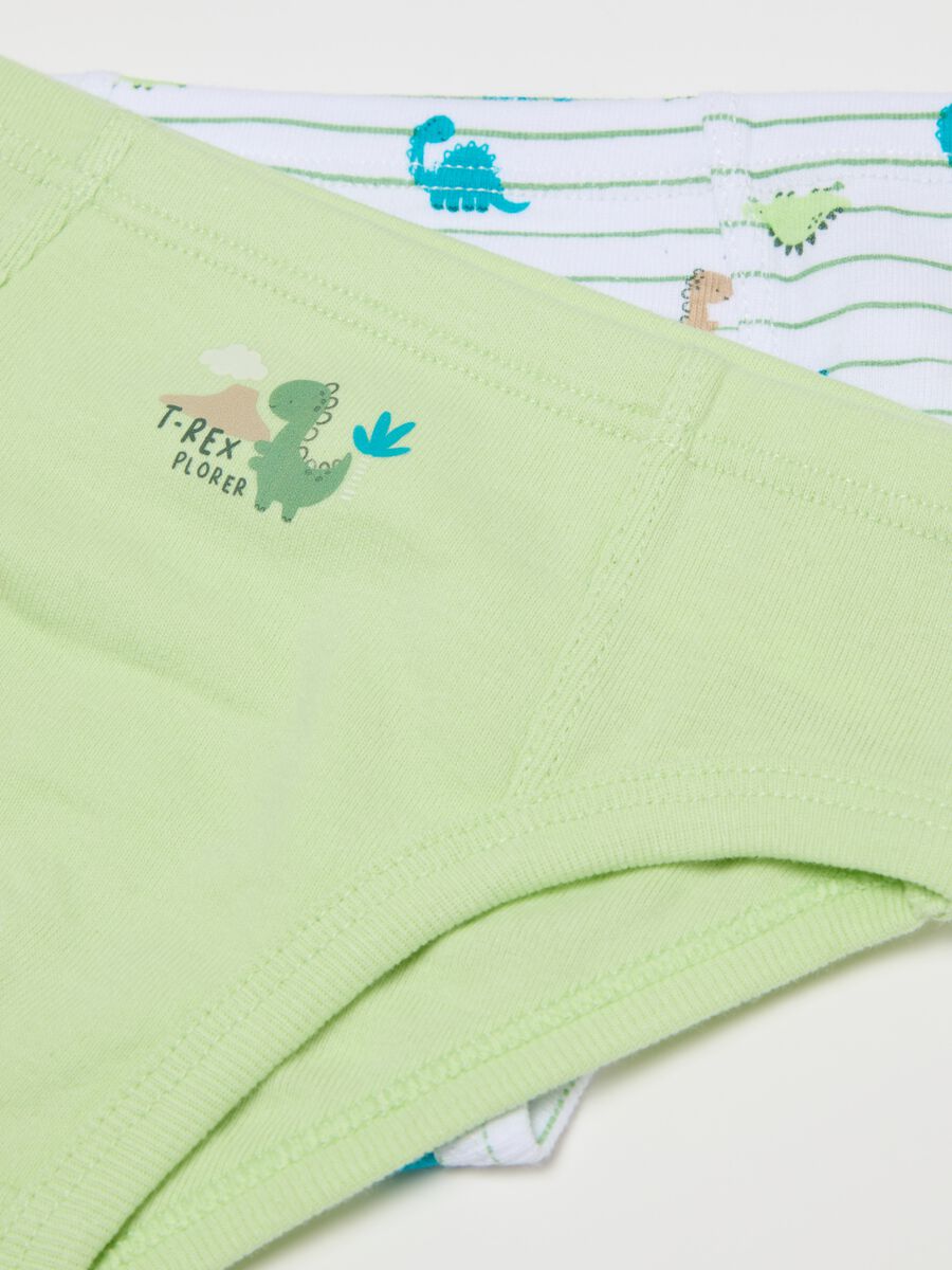 Two-pack cotton briefs with dinosaurs print_3