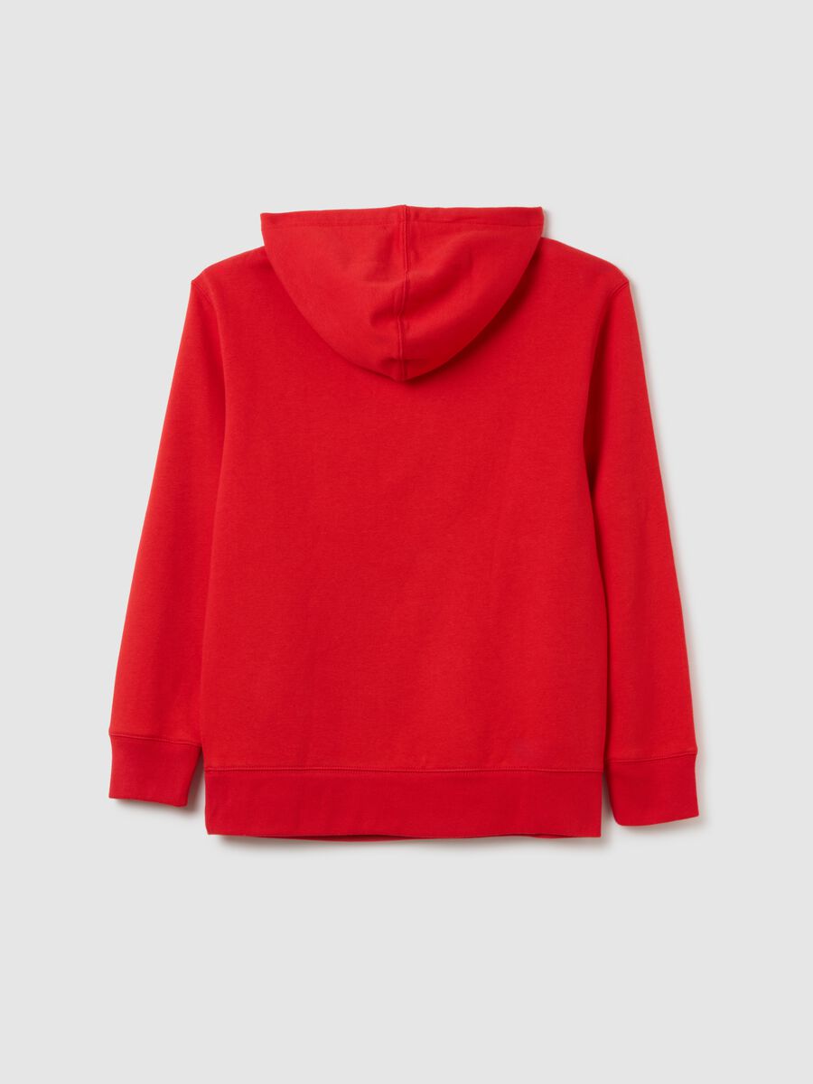 Hoodie with embroidered logo_1