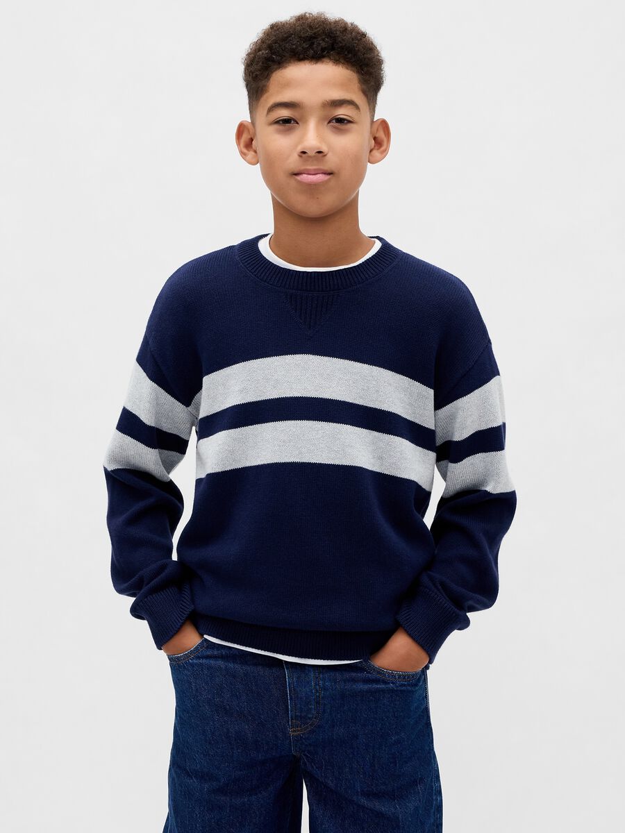 Blue Sweater with Stripes in Cotton_0