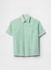 Green and White Striped Shirt_3