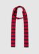 Red and blue striped scarf_0