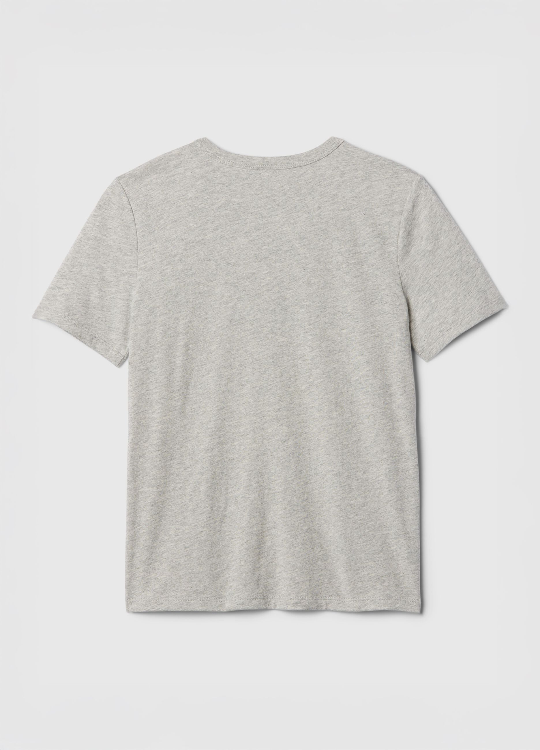 Grey T-shirt with GAP Logo