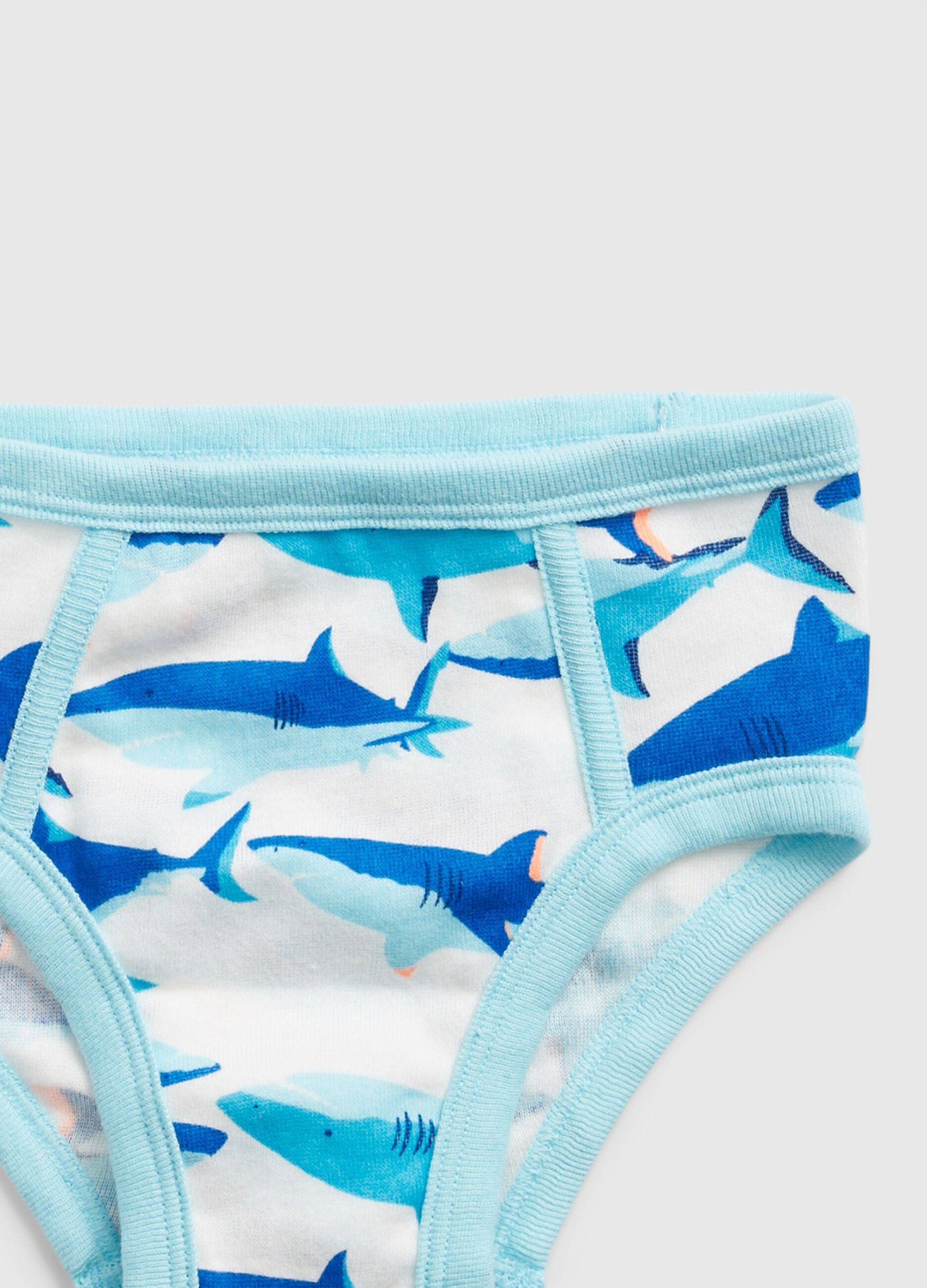 Set cinque slip con stampa squali_2