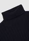 Regular fit blue turtleneck_1