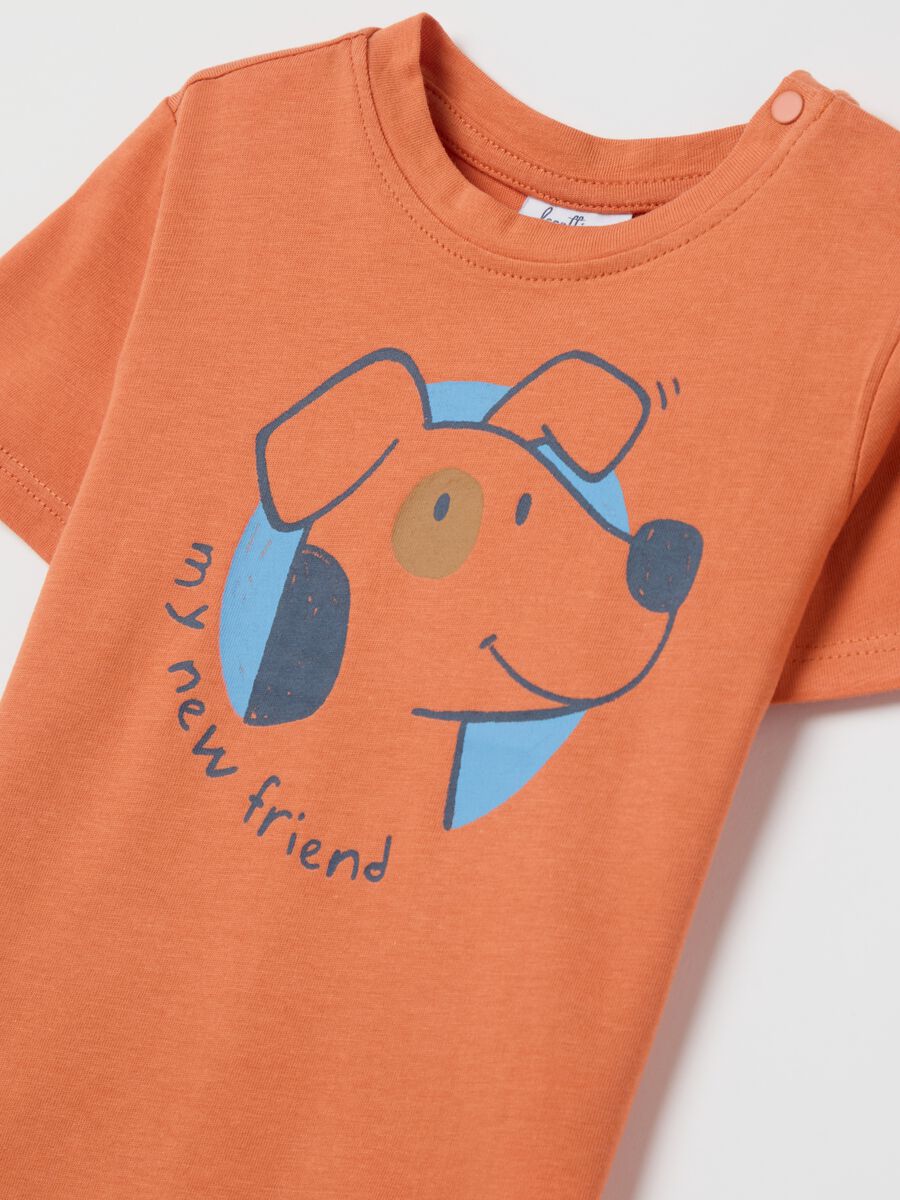 Cotton T-shirt with "My new friend" puppy print_2