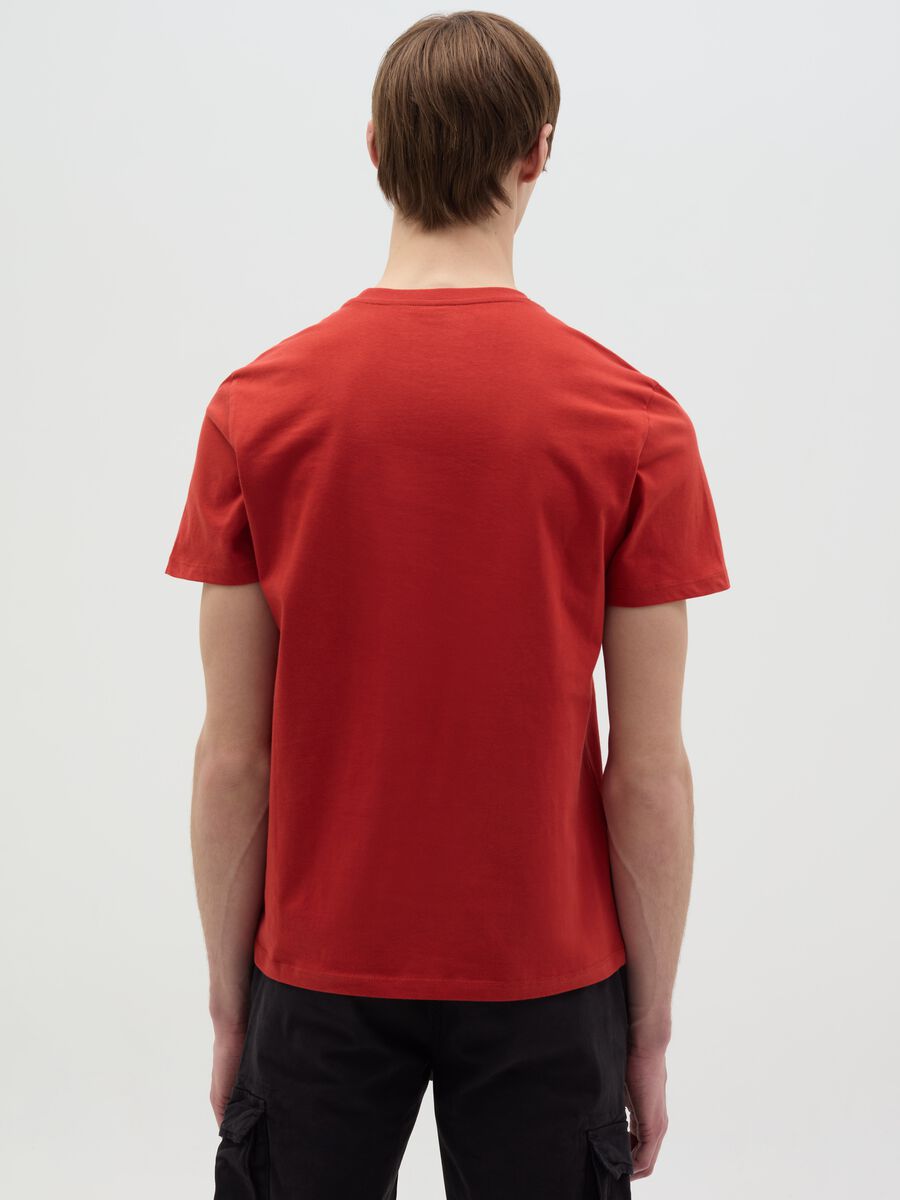 Organic cotton T-shirt_3