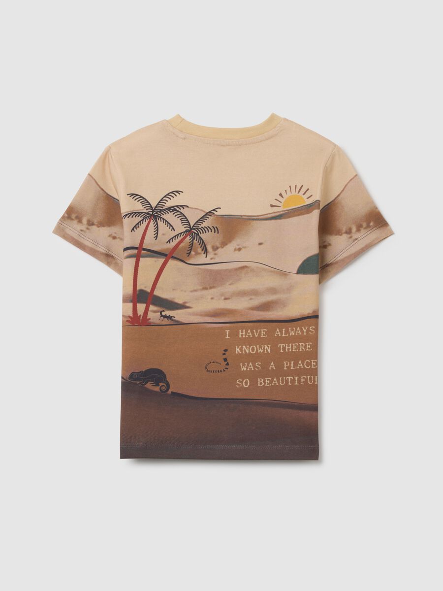 Multicoloured pure cotton regular fit children's t-shirt with print_1
