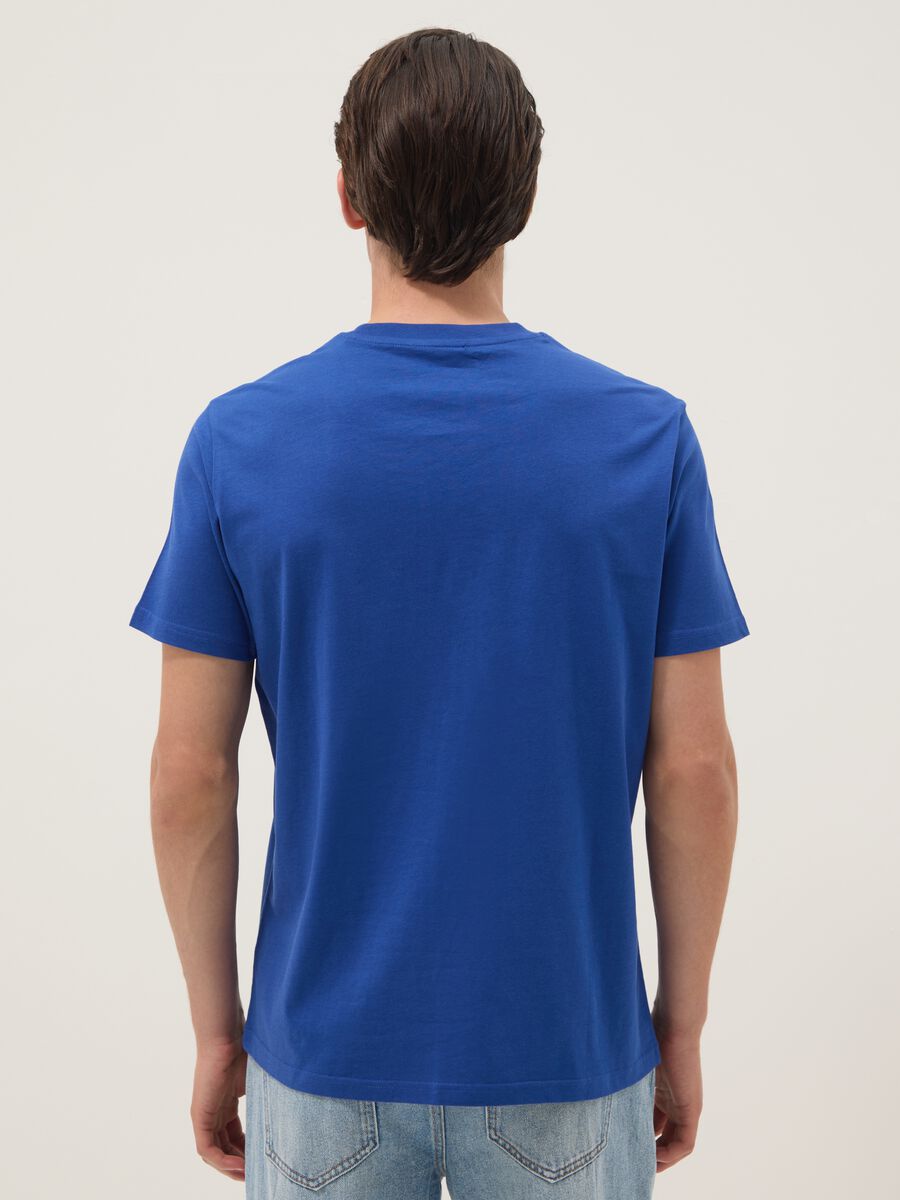 Blue pure cotton T-shirt with print, regular fit_3