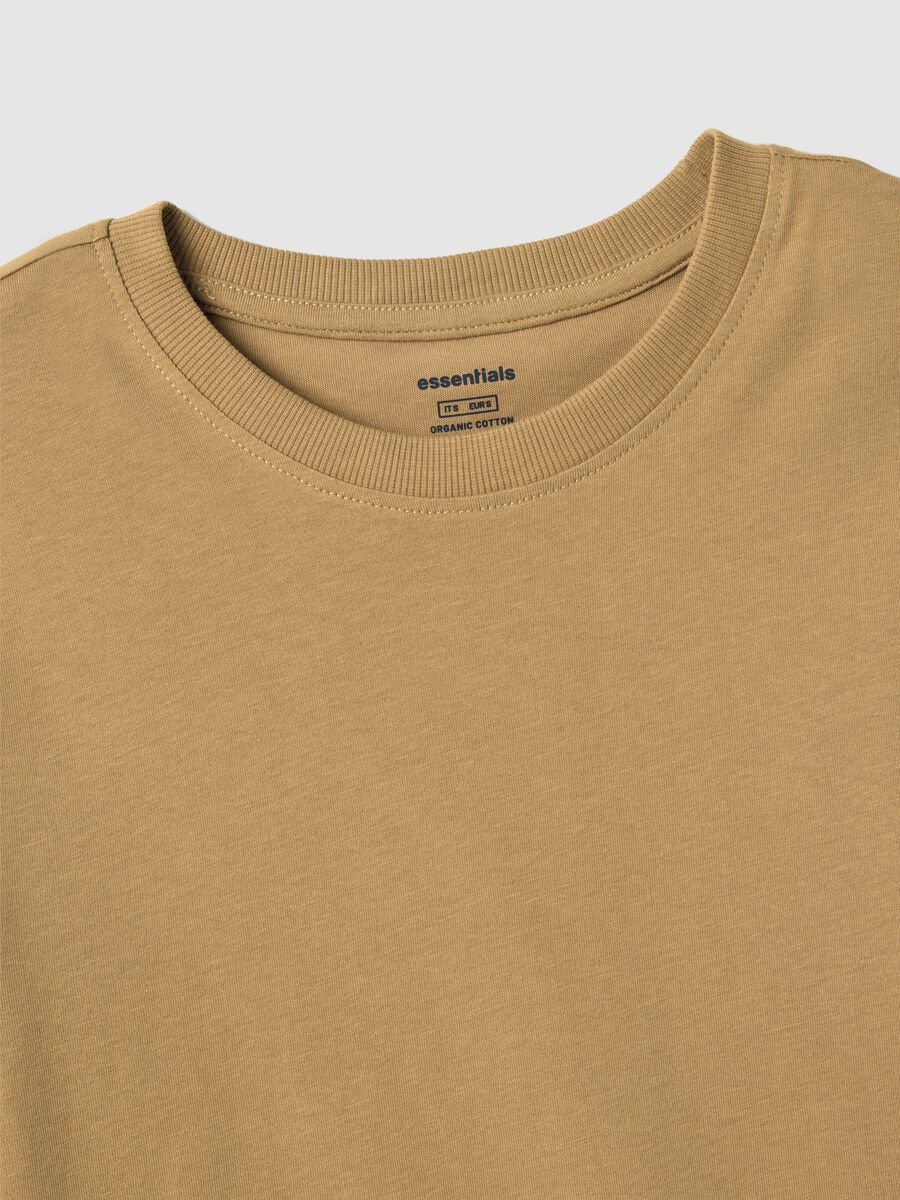 Brown pure cotton regular fit T-shirt_5