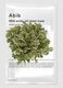 ABIB Mild Acidic pH Jericho Rose Fit Sheet Mask 30ml &ndash; Korean Skincare_0