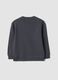 Grey crew-neck sweatshirt in pure organic cotton_1