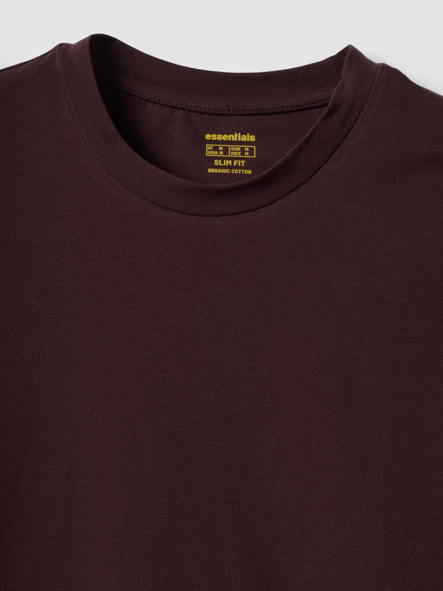 T-shirt marrone in cotone organico a maniche corte slim fit_5