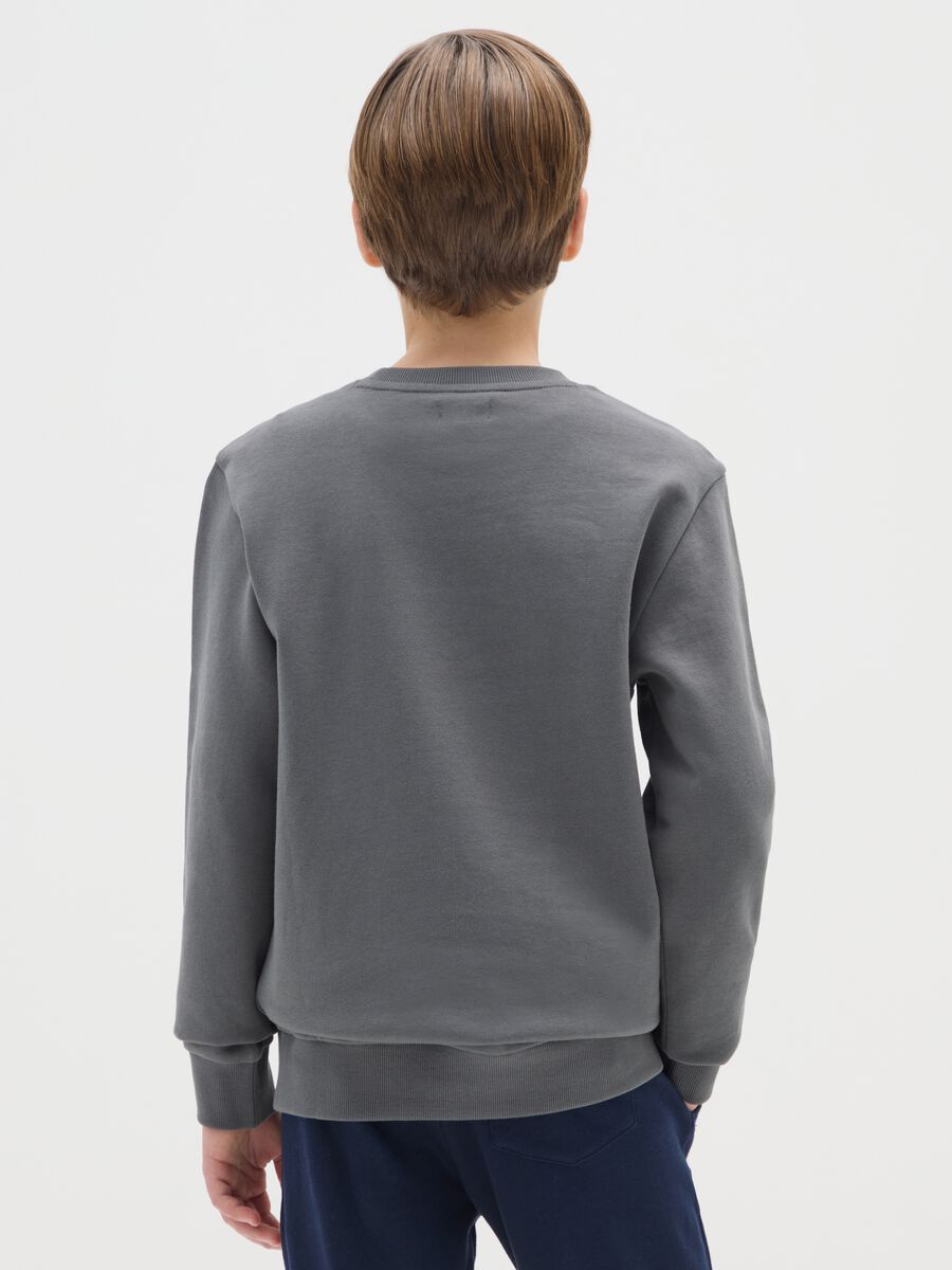Felpa da ragazzo in puro cotone grigia regular fit_1