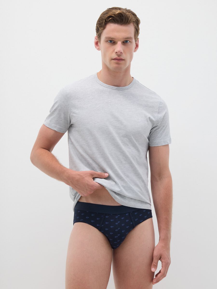 Set of Regular Fit Multicolour Cotton Briefs_0
