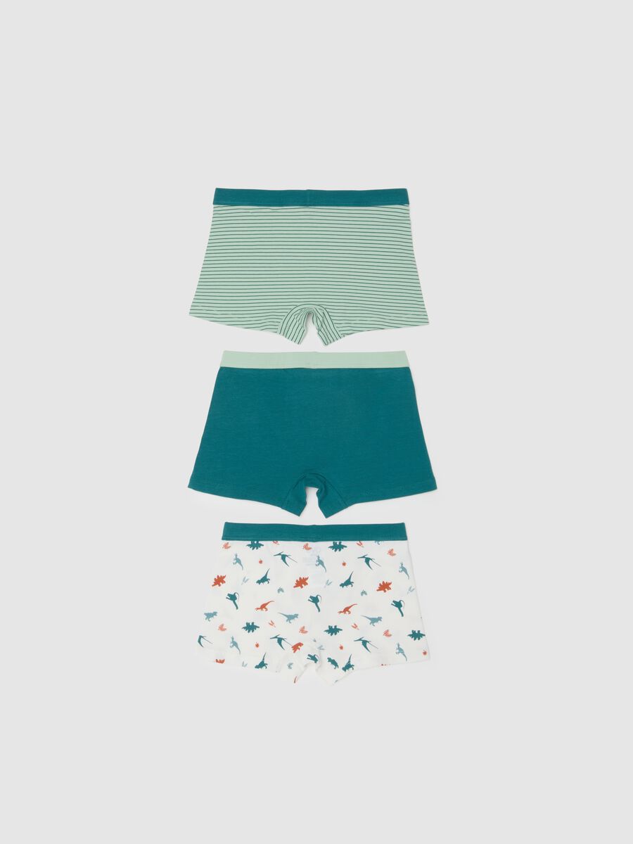 Pack of three multicoloured cotton regular fit boys' briefs_1