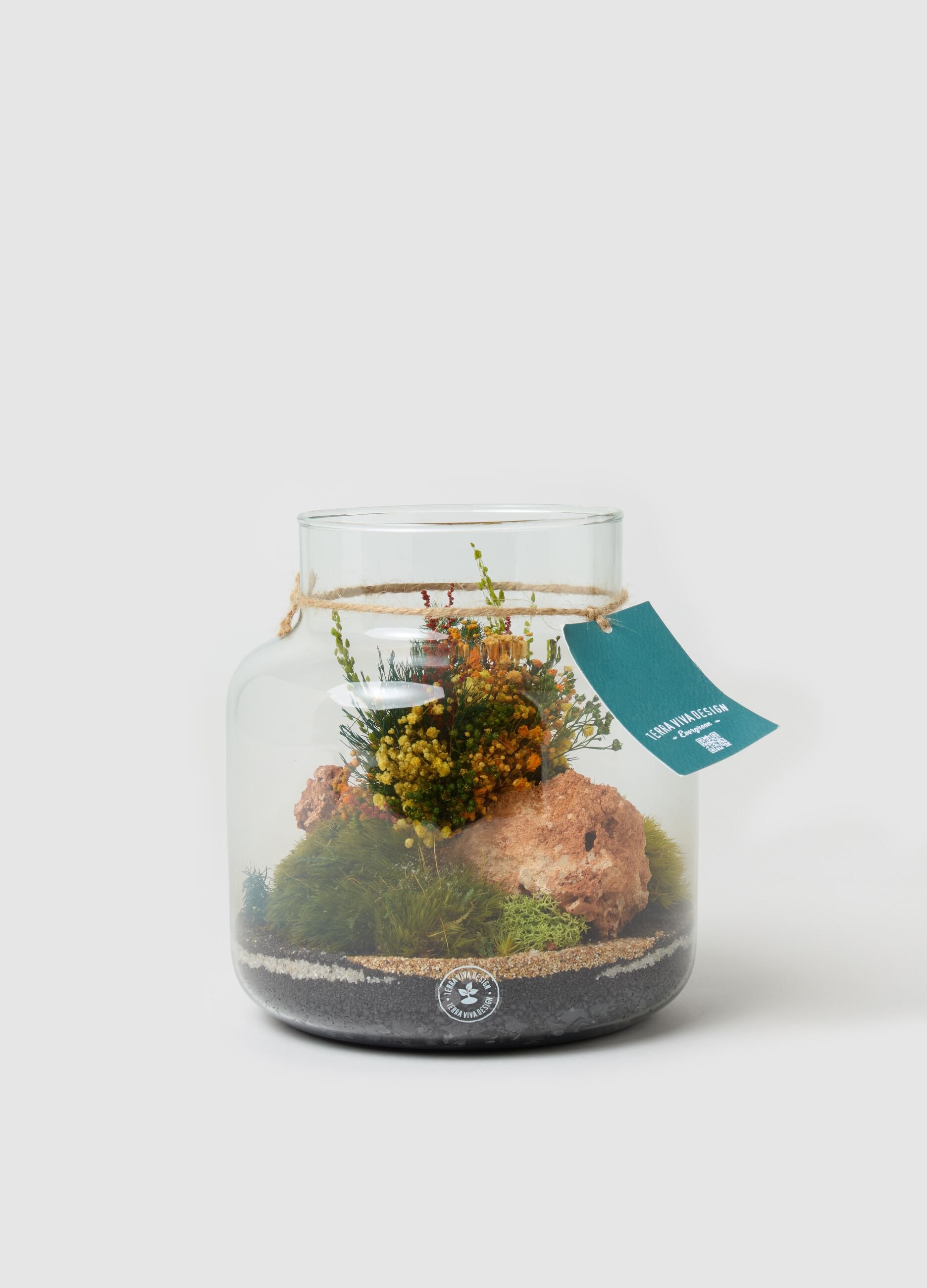 Evergreen Gigi Terrarium