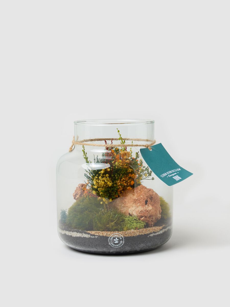 Evergreen Gigi Terrarium_0