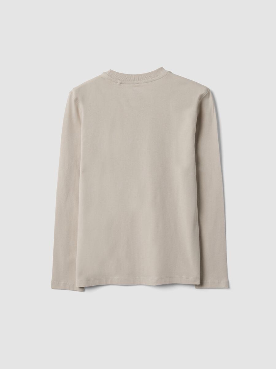 T-shirt grigia in puro cotone organico con stampa per ragazzo_5