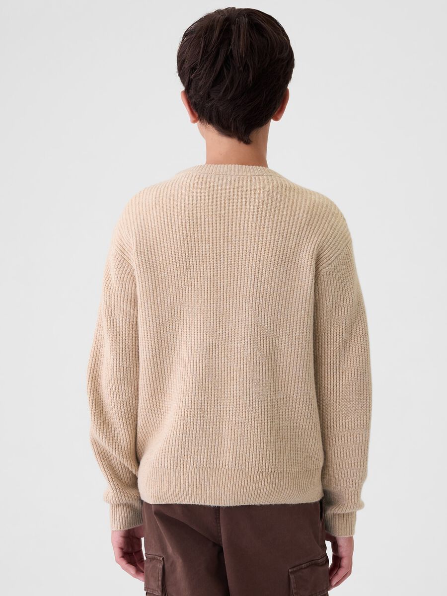 Pullover with ribbed design_2