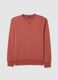 Red pure cotton regular fit jumper_4