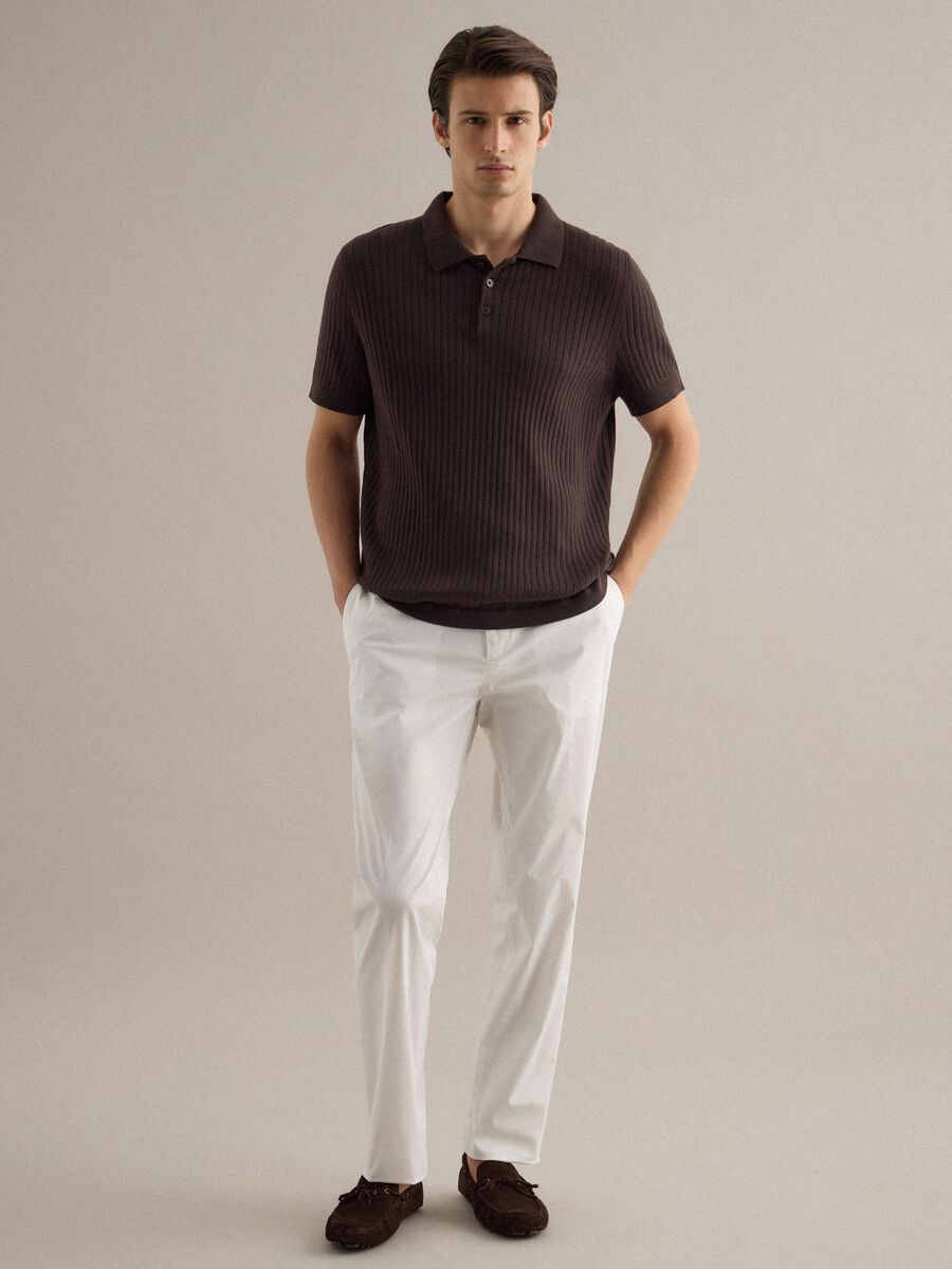 Brown striped short-sleeve pure cotton polo in regular fit_2