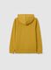 Boys' yellow hoodie with zip_4