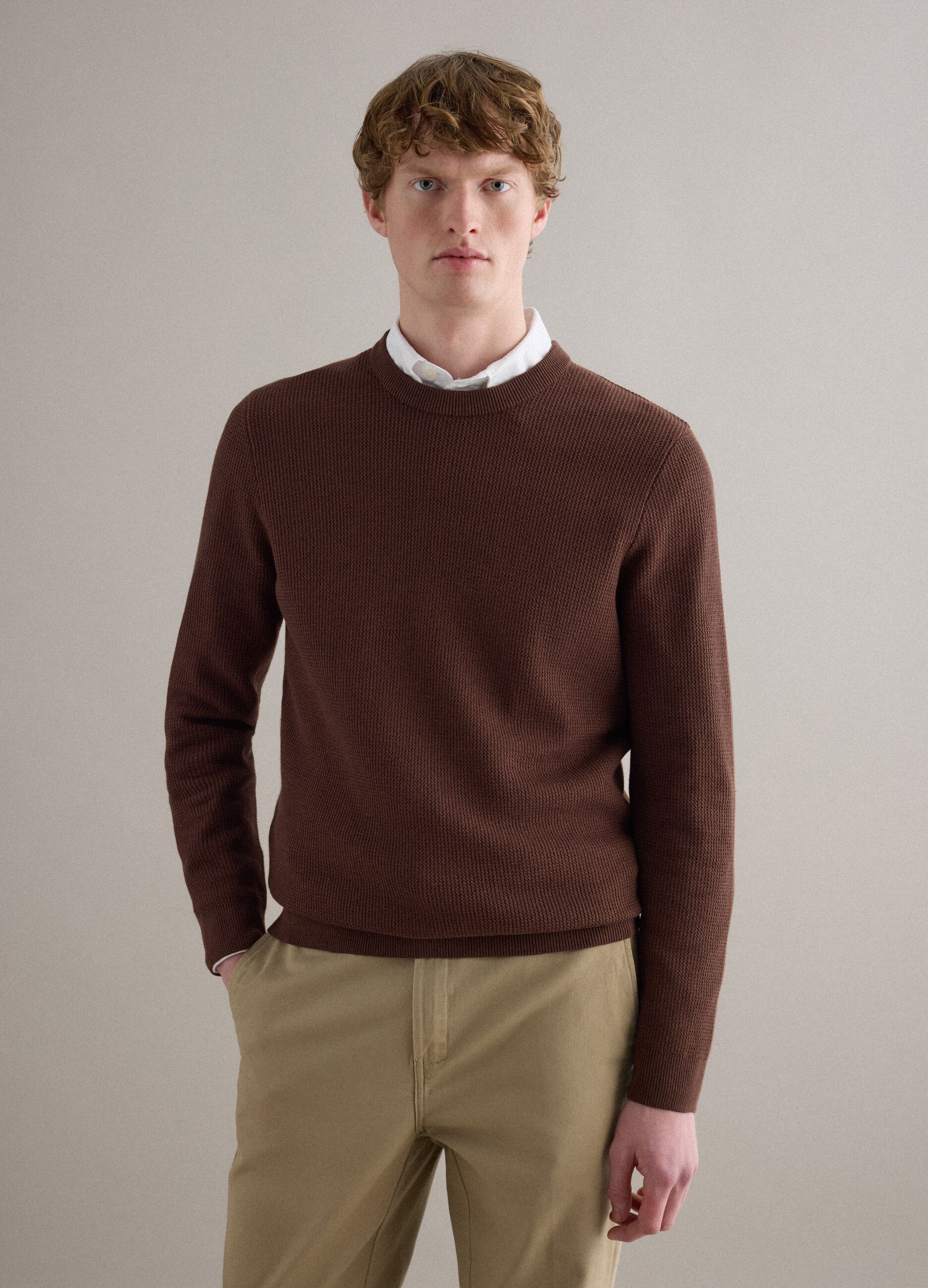 Brown pure cotton crew neck sweater regular fit