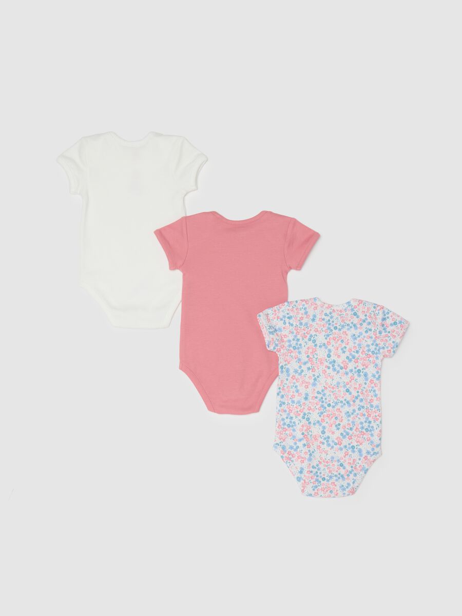 Multicoloured pure cotton tripack bodysuits for girls_1