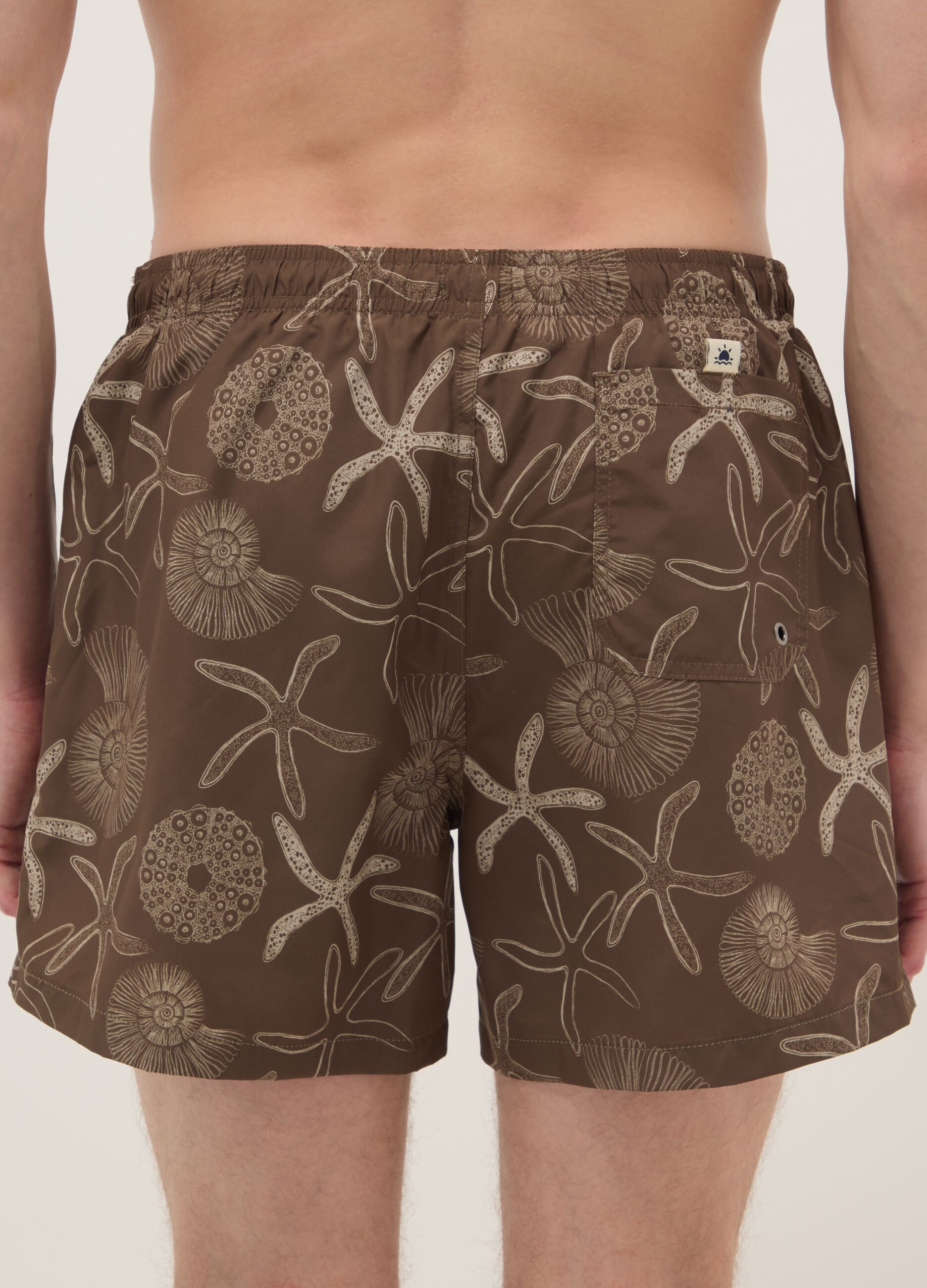 Brown swim shorts with seashell and starfish print