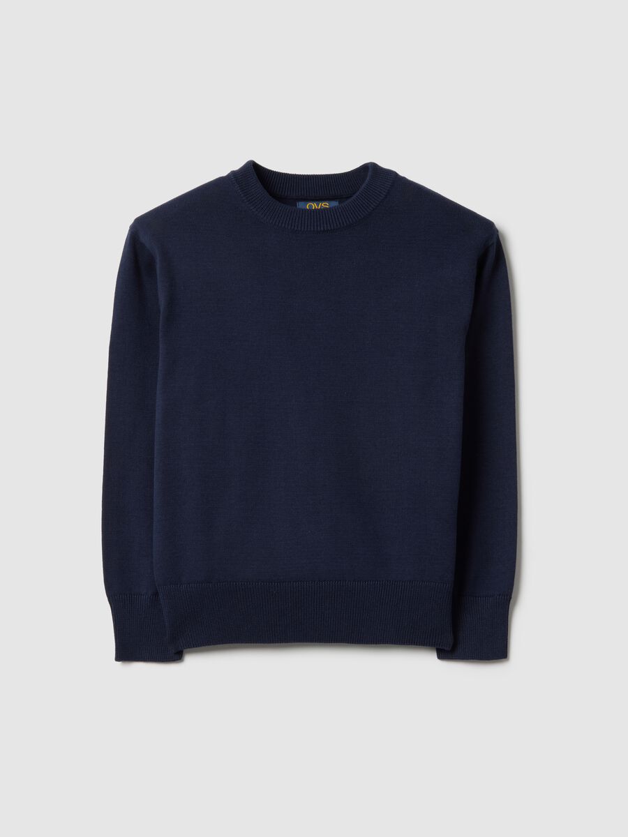 Boys' Blue Crew Neck Pure Cotton Sweater Regular Fit_0