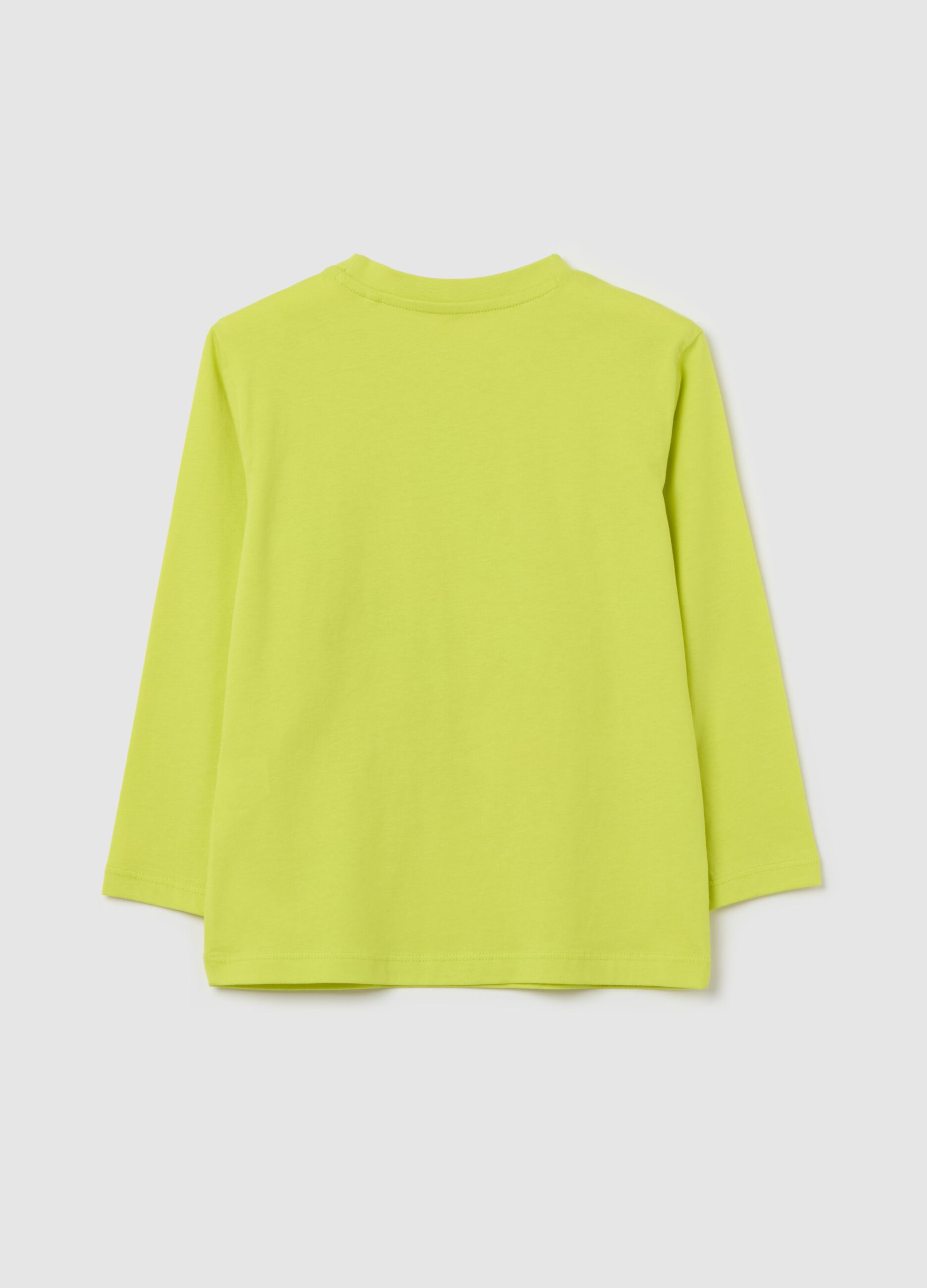 Long-sleeved T-shirt in cotton with print