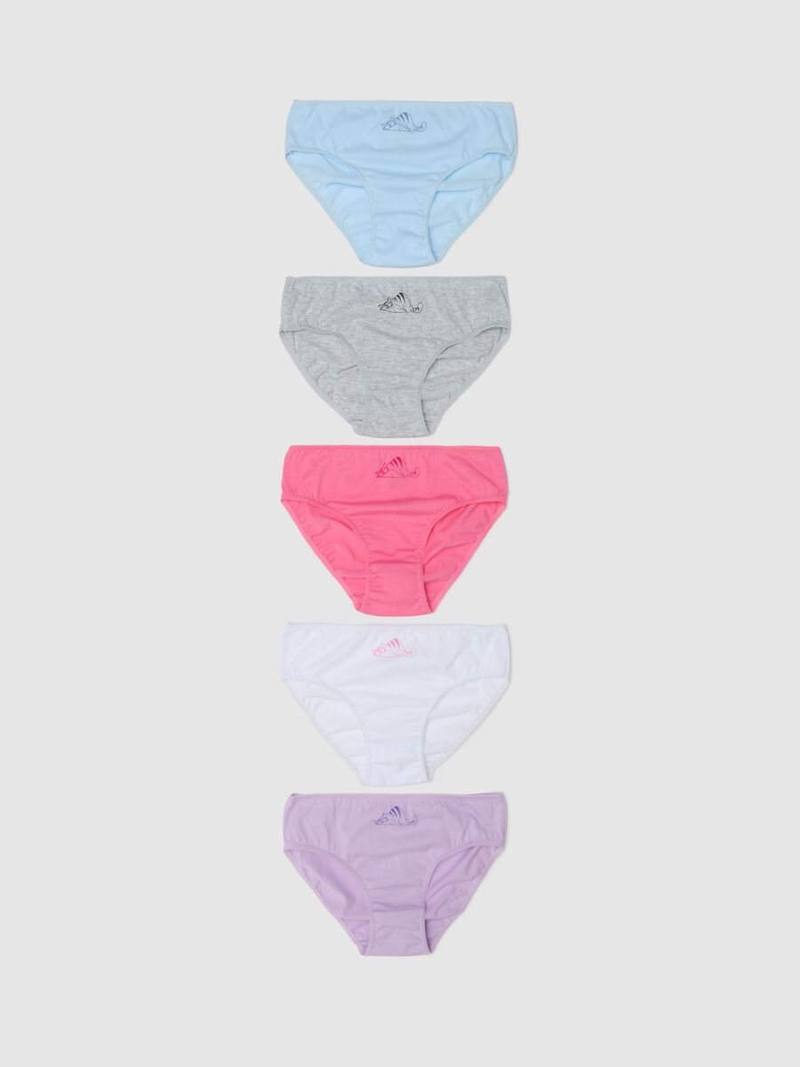 Set cinque slip in cotone con stampa gatto addormentato _0