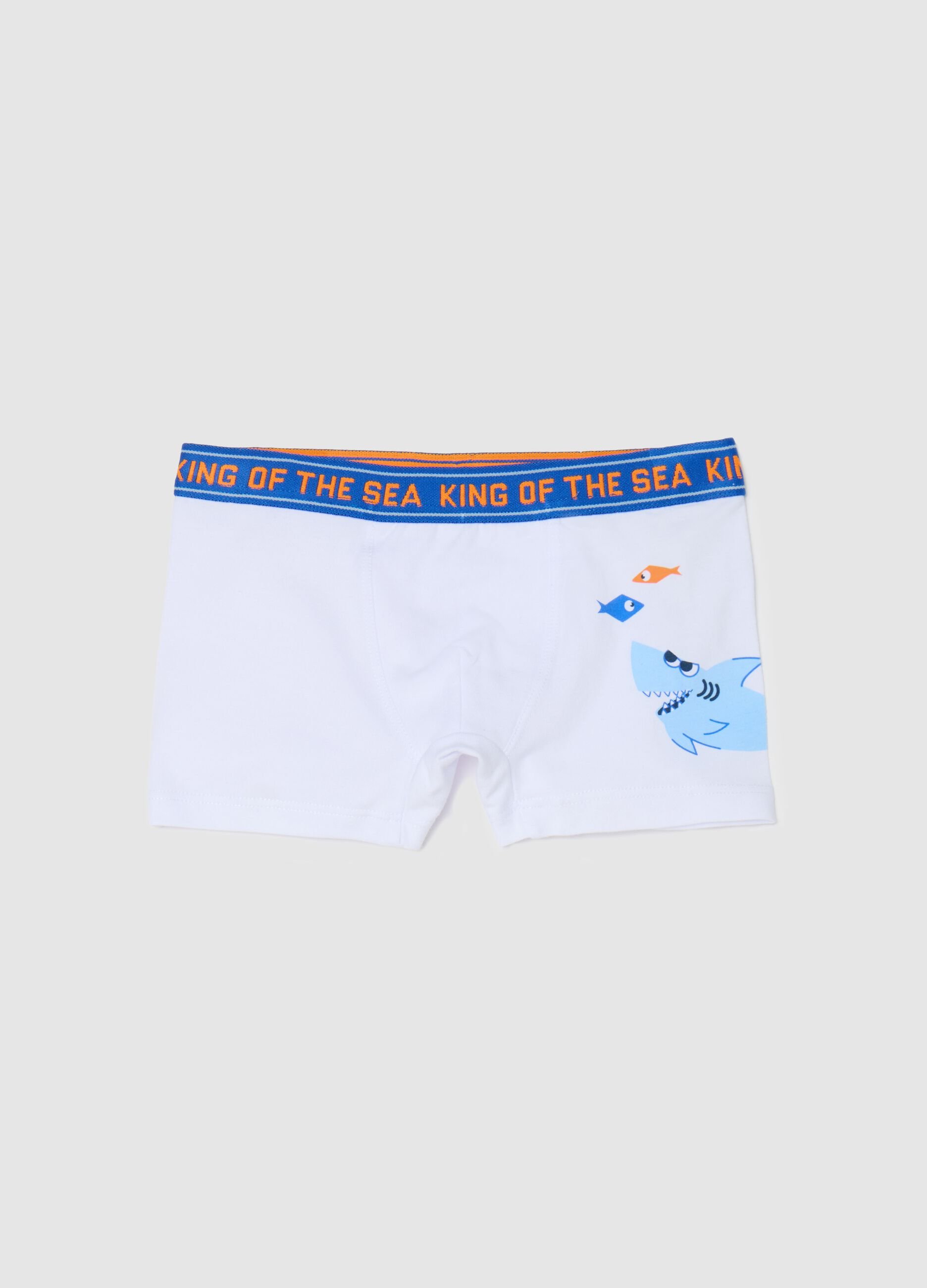 Boxer in cotone stretch con stampa squalo