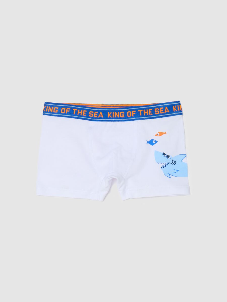 Stretch cotton boxer shorts with shark print_0