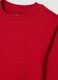 Boys' Red Crew Neck Sweatshirt in Pure Cotton Regular Fit_2
